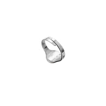 Load image into Gallery viewer, Dachshund Wire Haired Ring - Silver - WeeShopyDog