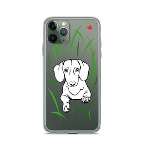 Dachshund Play Grass - iPhone Case